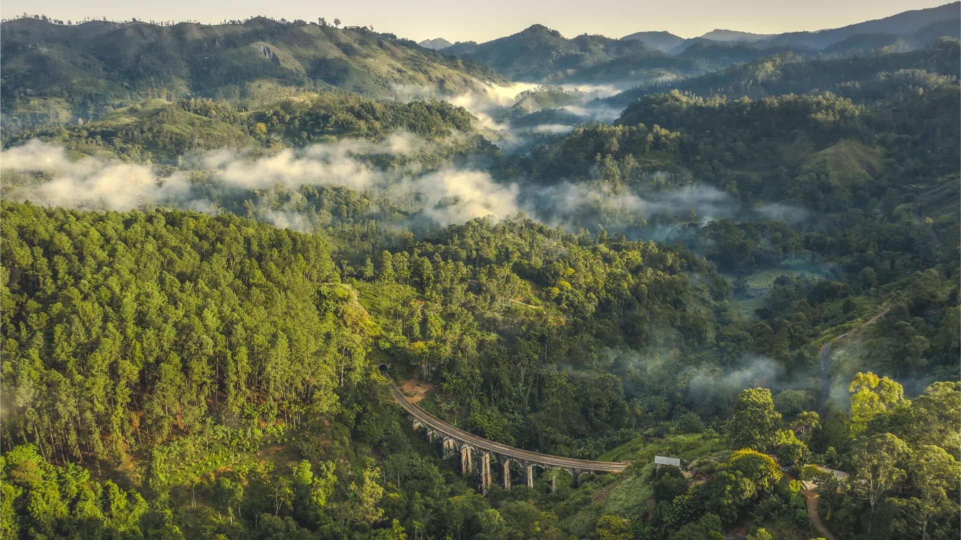 About Savi Explorers Team