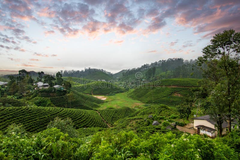 A Touch of Lanka – 2 st Joseph’s Rd, Nugegoda 10250, Sri Lankat, Fun & Flavorful