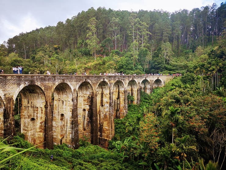 Nine Arches Bridge amidst tea plantations.